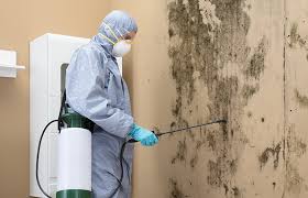 Best Environmental Consulting for Mold Prevention in Sturgeon Bay, WI